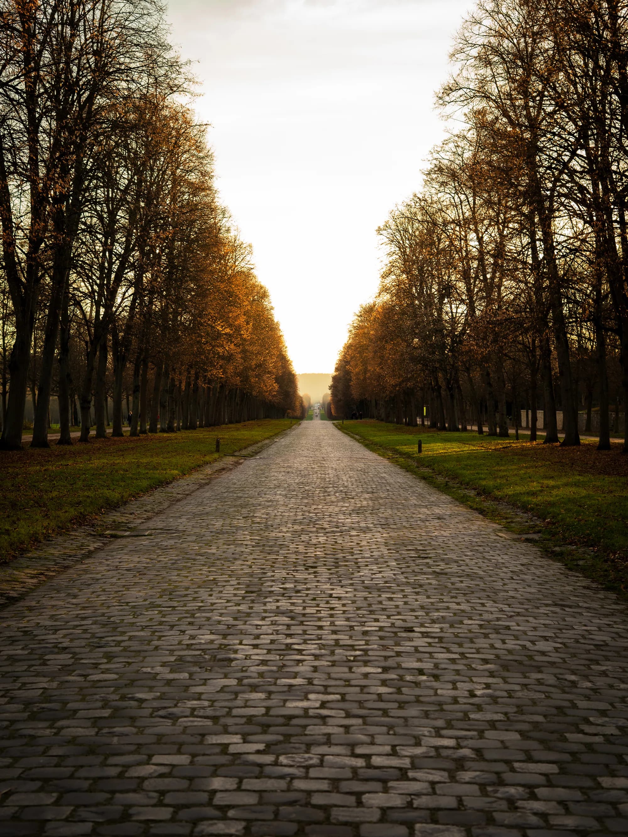 Photographie artistique photographie 1